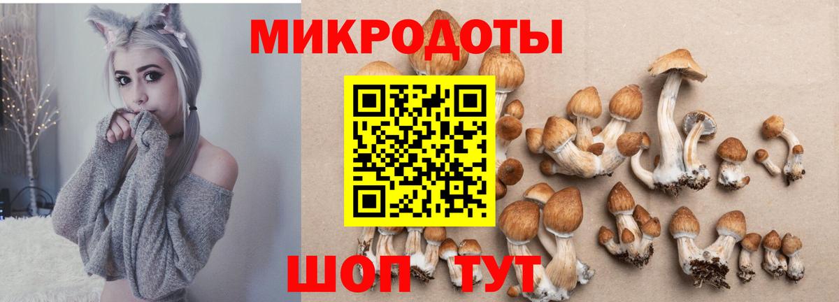 Псилоцибиновые грибы Psilocybine cubensis  Галлюциногенные грибы GOLDEN TEACHER  Вход с VPN  Ипатово 